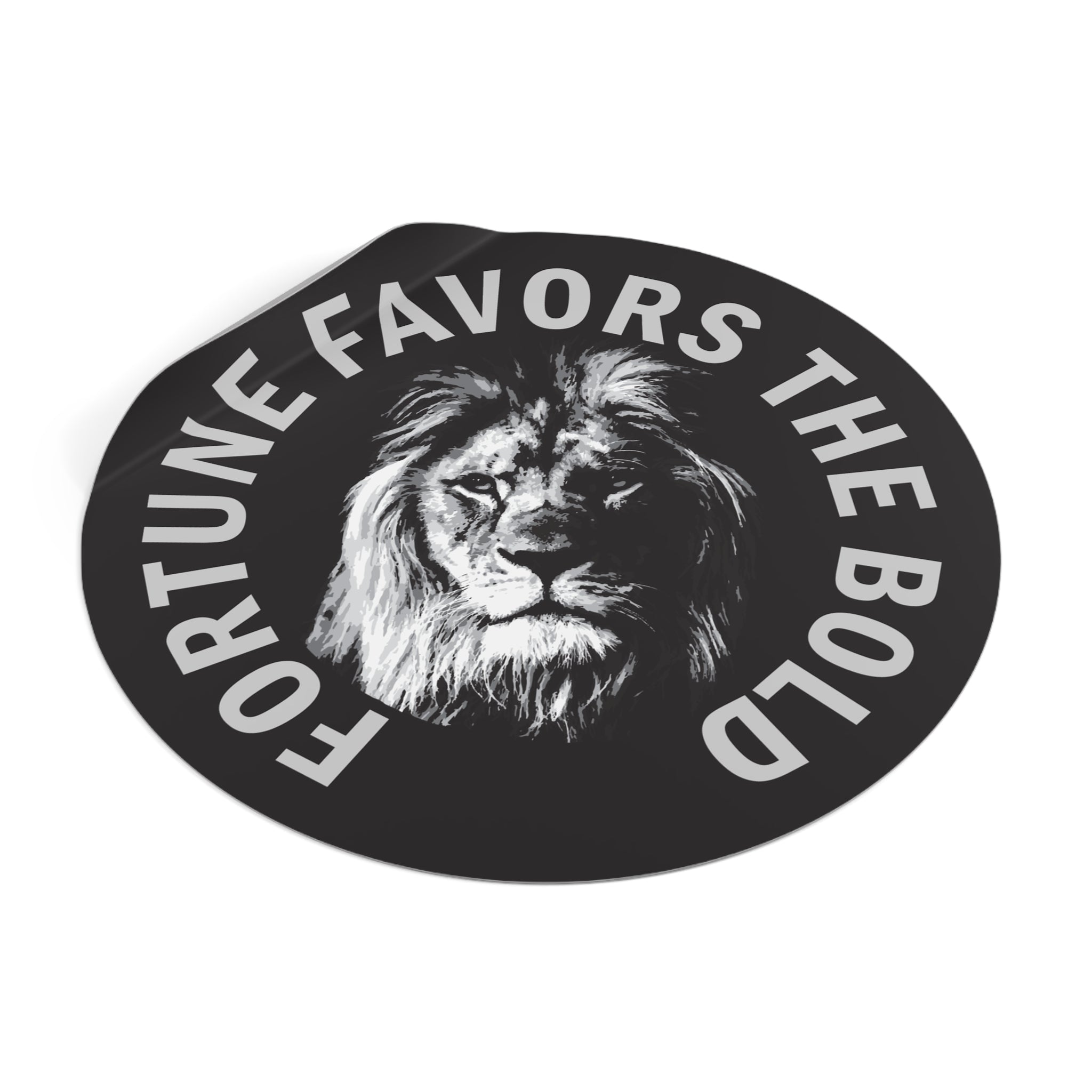 Fortune favors the bold sticker-Boldness vinyl sticker #size_4x4-inches